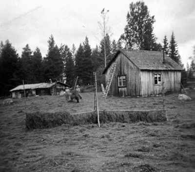 Faedboden-2.jpg